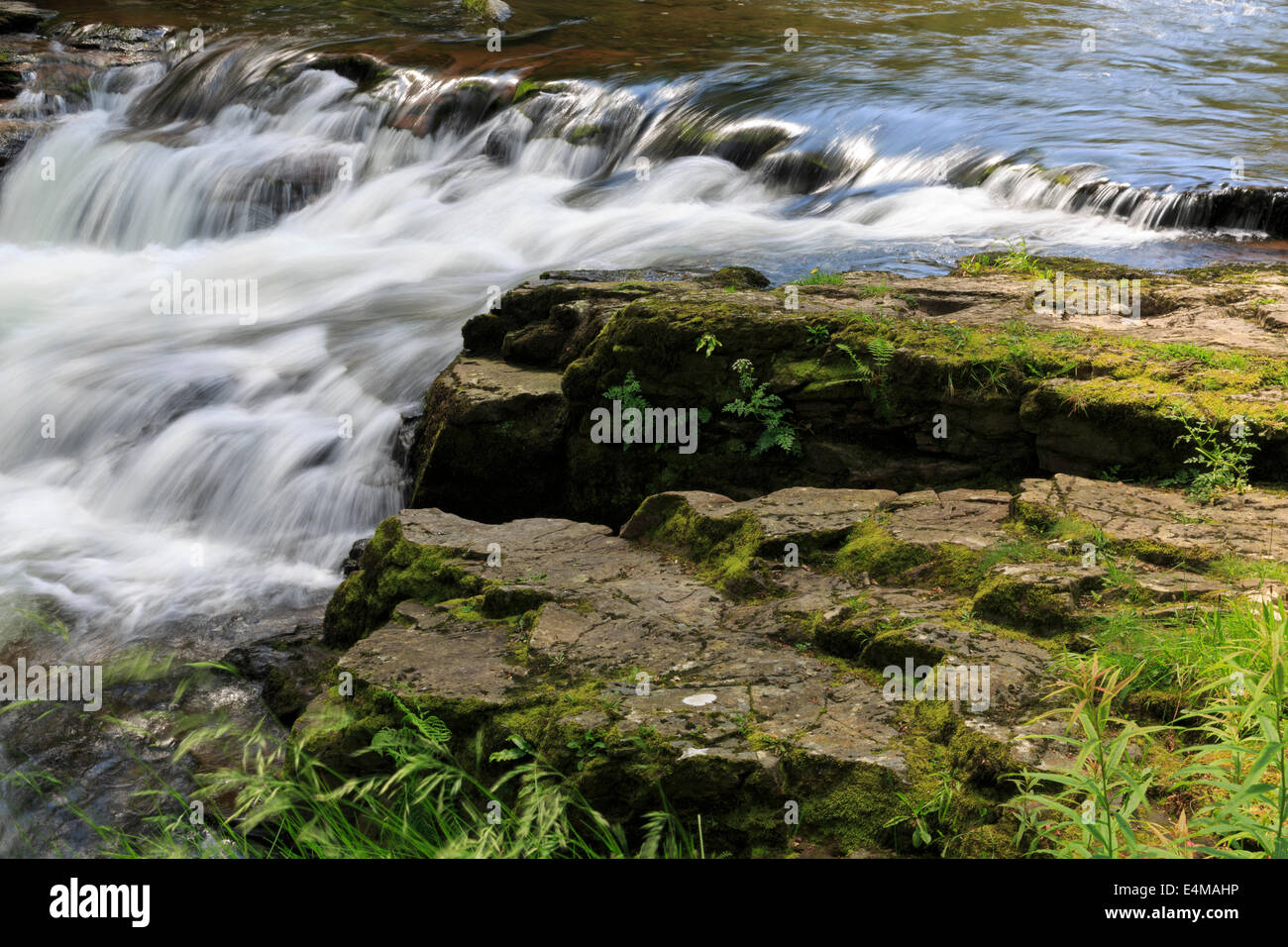 Watersmeet, North Devon Foto Stock Watersmeet, North Devon Foto Stock