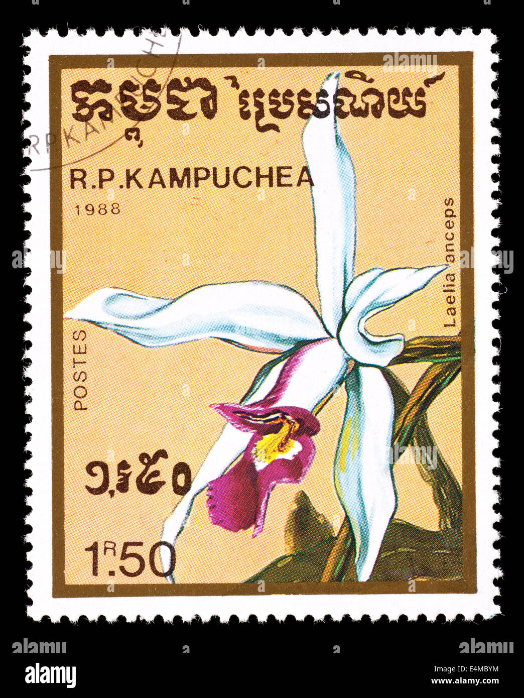 Francobollo da Kampuchea (Cambogia) raffigurante un fresco tropicale meteo orchidea (Lealia anceps) Foto Stock