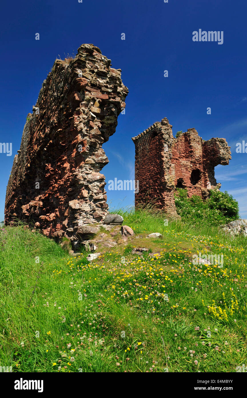 Castello Rosso, Lunan Bay, Angus, Scozia Foto Stock