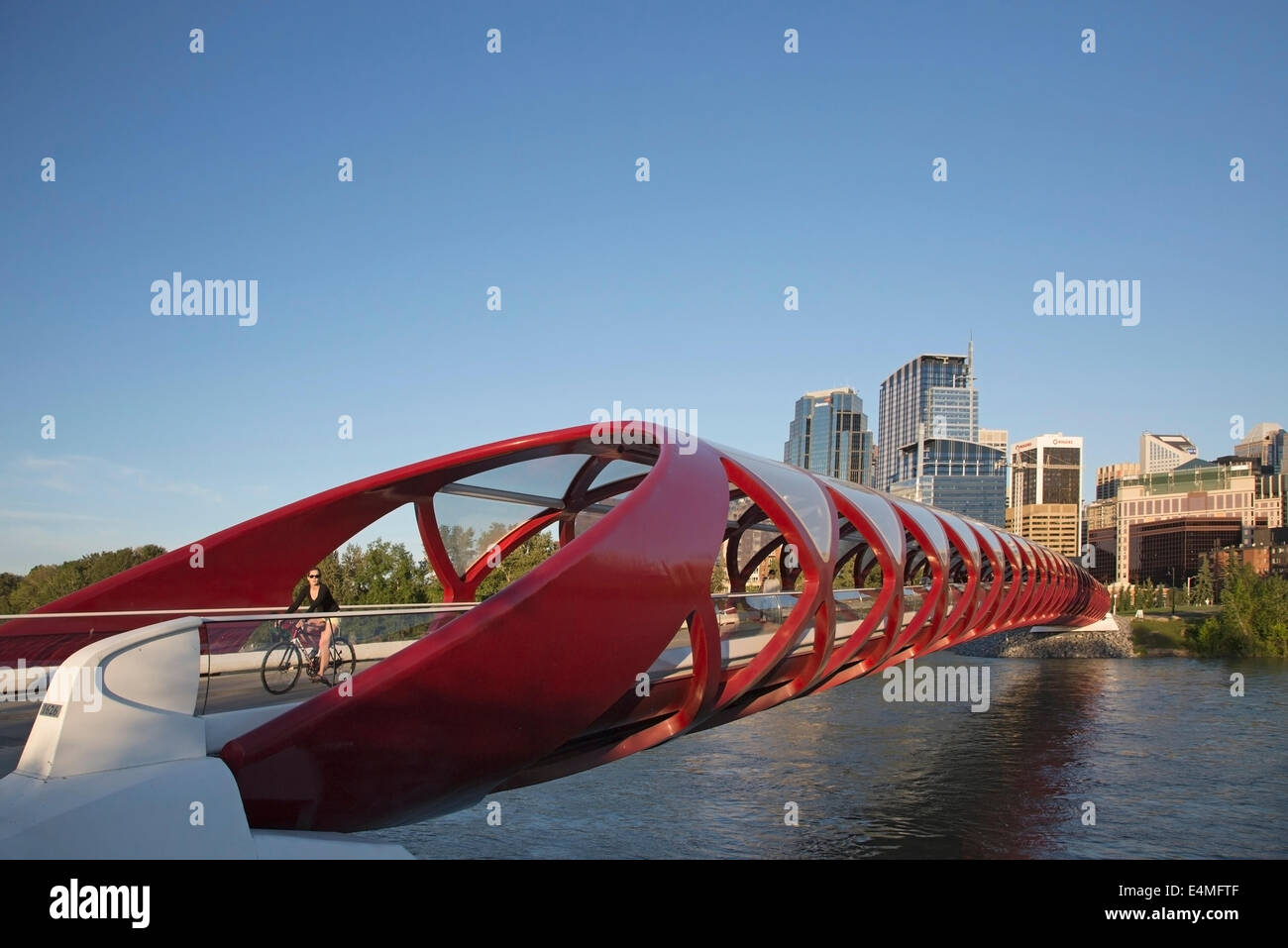 Ciclista attraversando il ponte di pace attraverso il Fiume Bow che collega i percorsi di nord e sud di Calgary Foto Stock