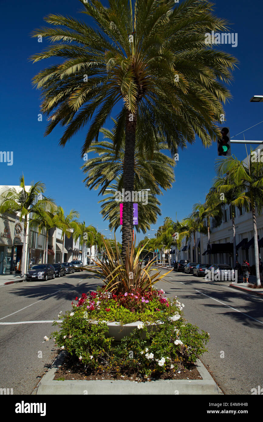 Palme su Rodeo Drive, il lusso, la strada dello shopping di Beverly Hills, Los Angeles, California, Stati Uniti d'America Foto Stock