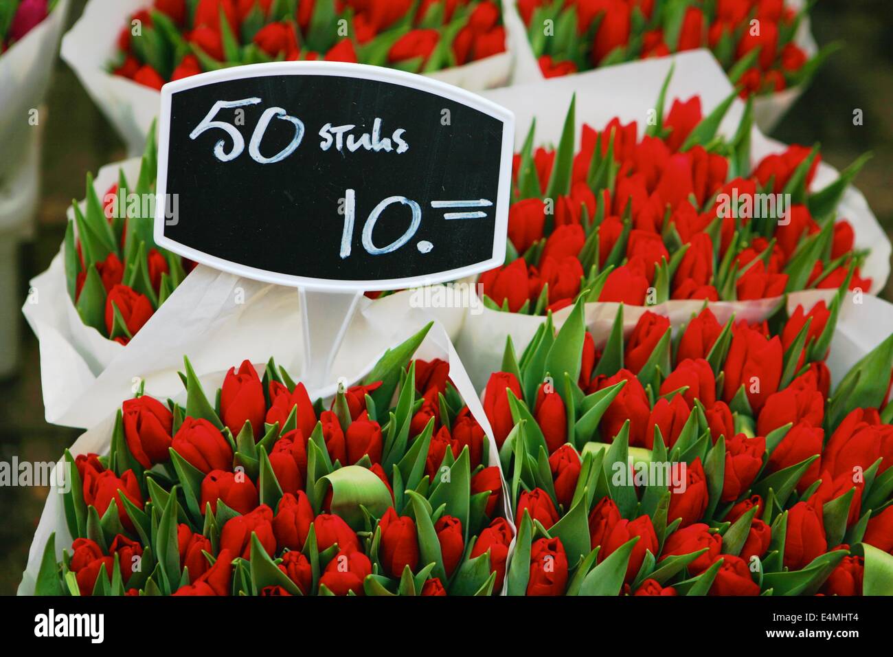 I tulipani in vendita in un mercato dei fiori di Amsterdam, Paesi Bassi Foto Stock