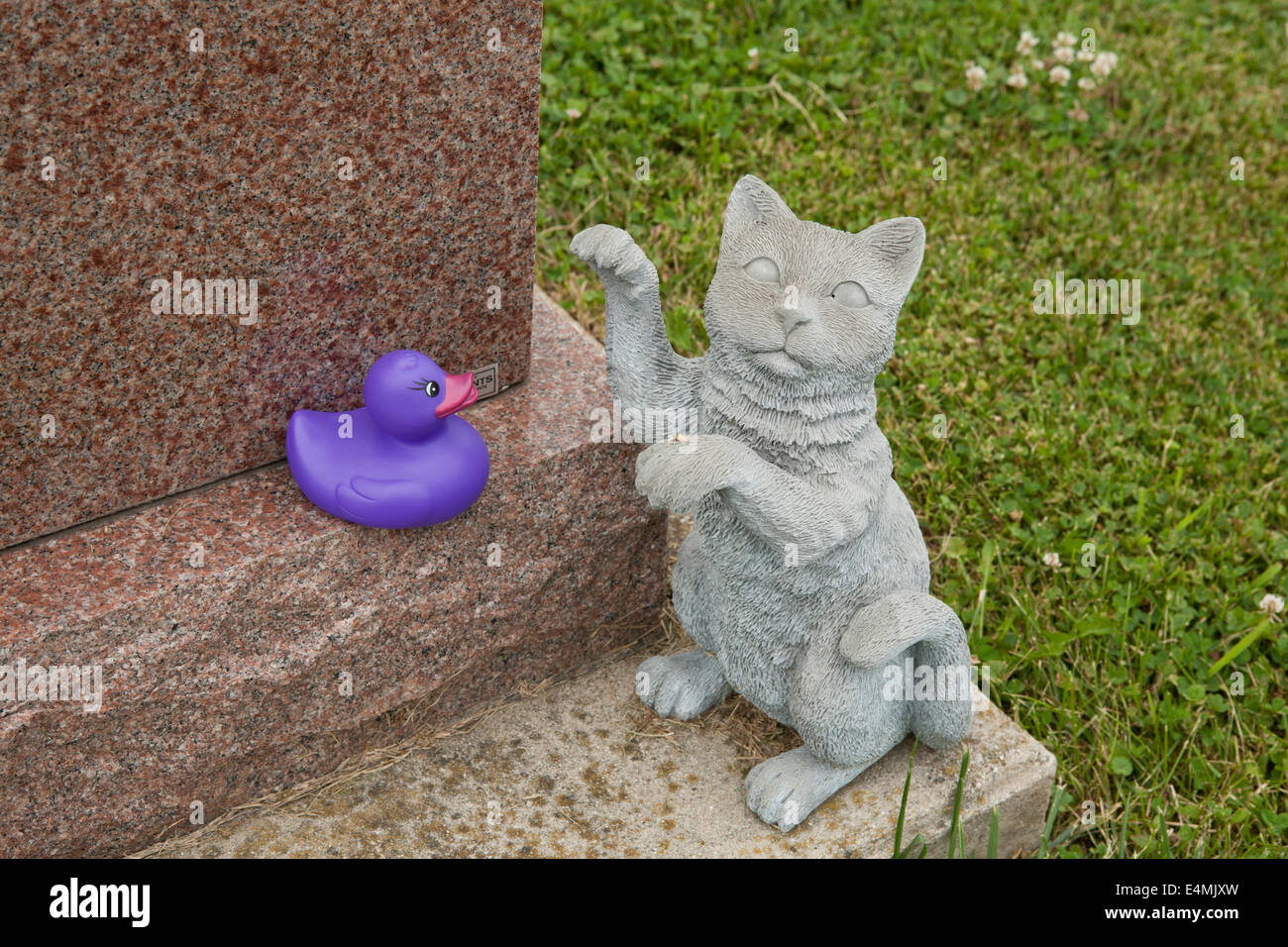 Gatto in pietra con rubber duck sul oggetto contrassegnato per la rimozione definitiva Foto Stock