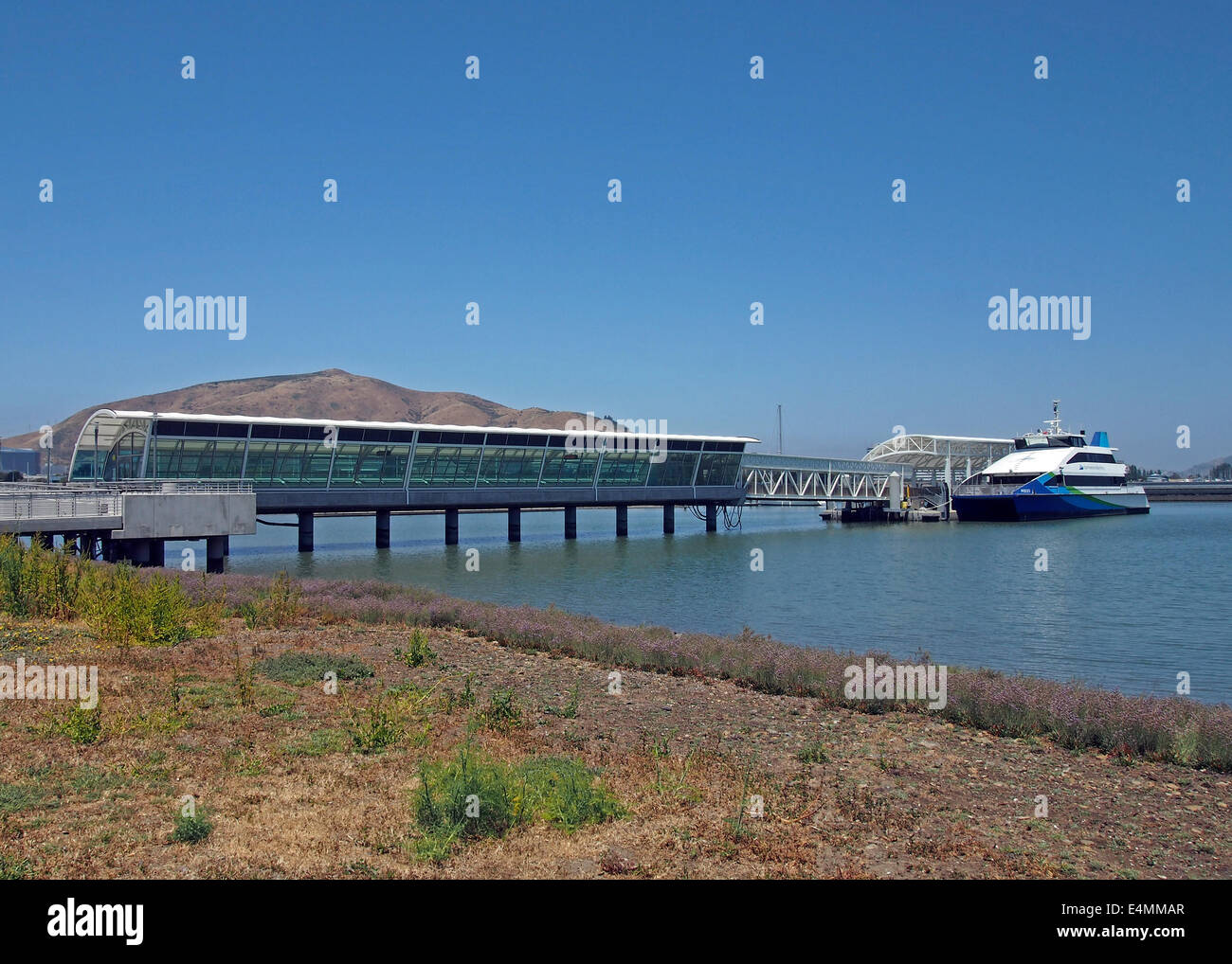 La baia di San Francisco, South San Francisco ferry boat terminale, pesci, South San Francisco, California Foto Stock