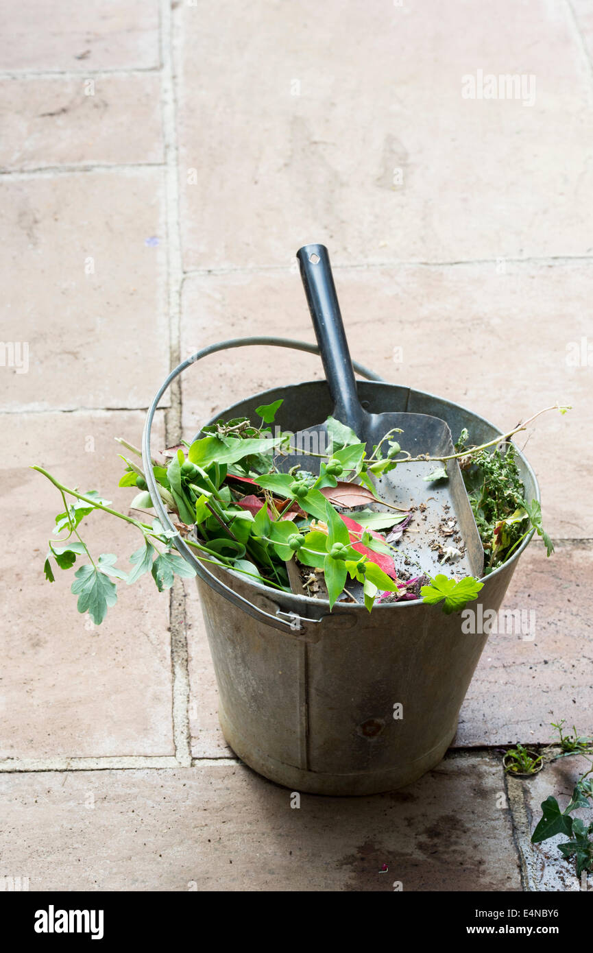 Cancellazione di piante morte ed erbacce da giardino in un secchio di metallo Foto Stock