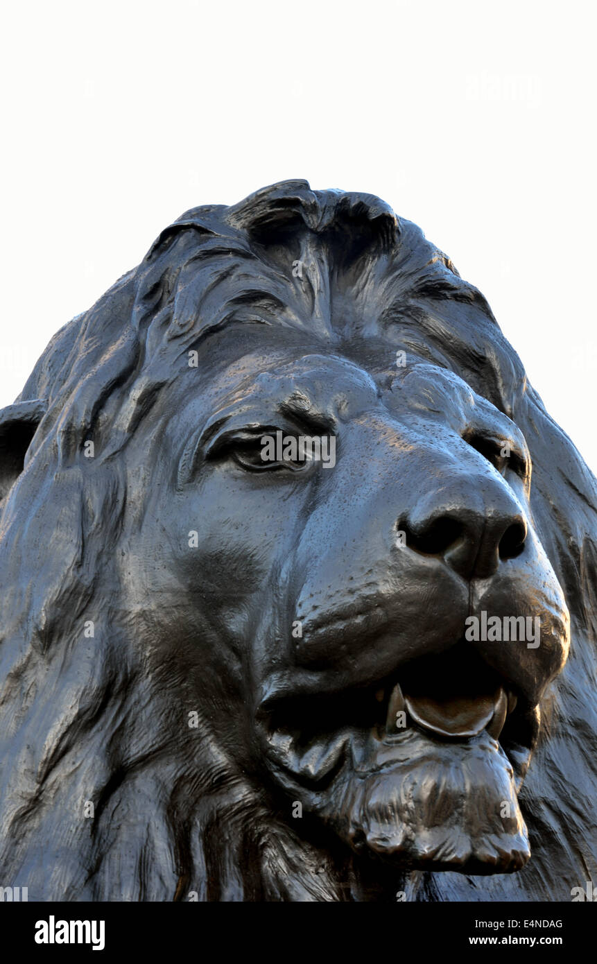 Trafalgar Square Lion Foto Stock