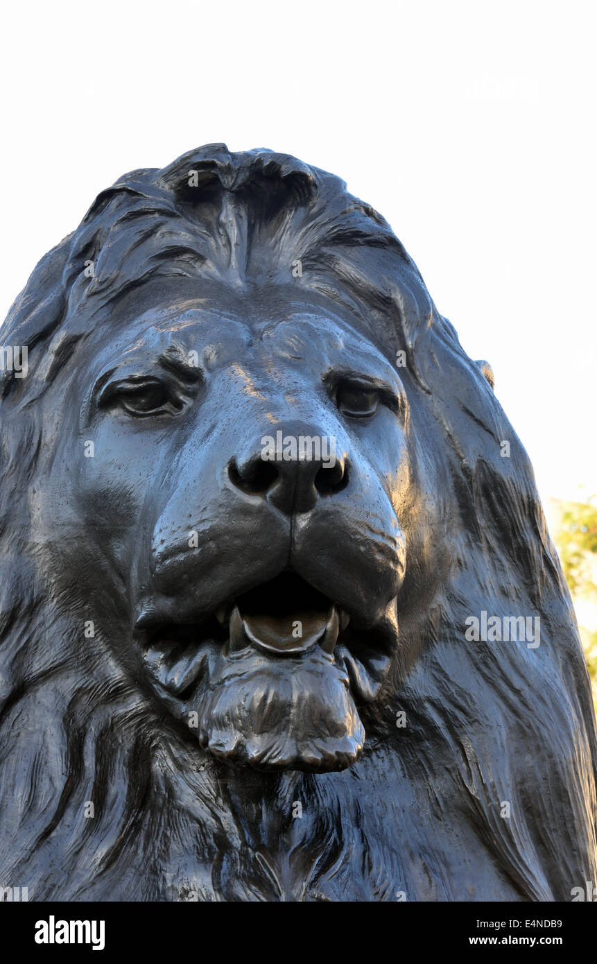 Lion a Trafalgar Square Foto Stock