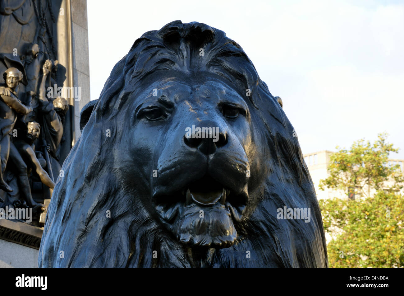 Trafalgar square lion Foto Stock
