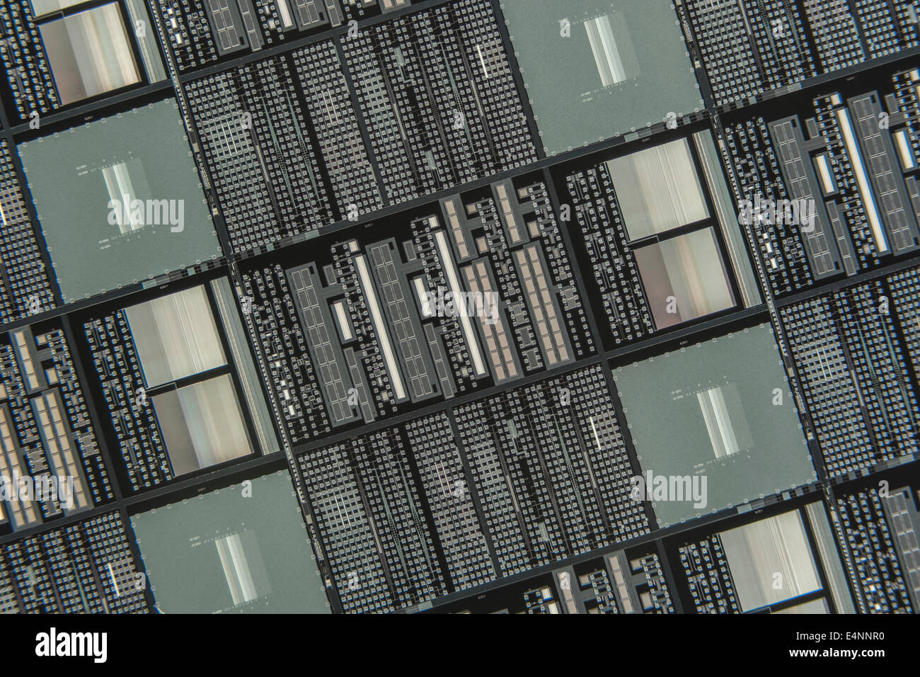 Macro-foto di chip di microcircuito su wafer di silicio. Concetto di tecnologia digitale, microcircuiti, concetto minuscolo, chip di silicio, circuito di primo piano Foto Stock