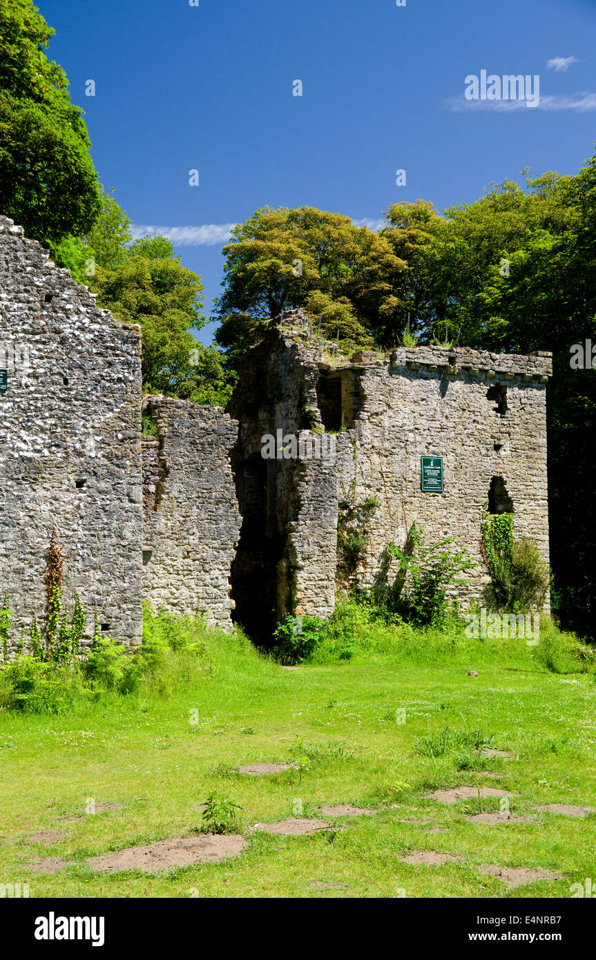 Candelston castello fortificato di Manor House merthyr mawr xiv secolo vecchio rudere storica warren warrens Galles; welsh; Regno Unito; regno re Foto Stock