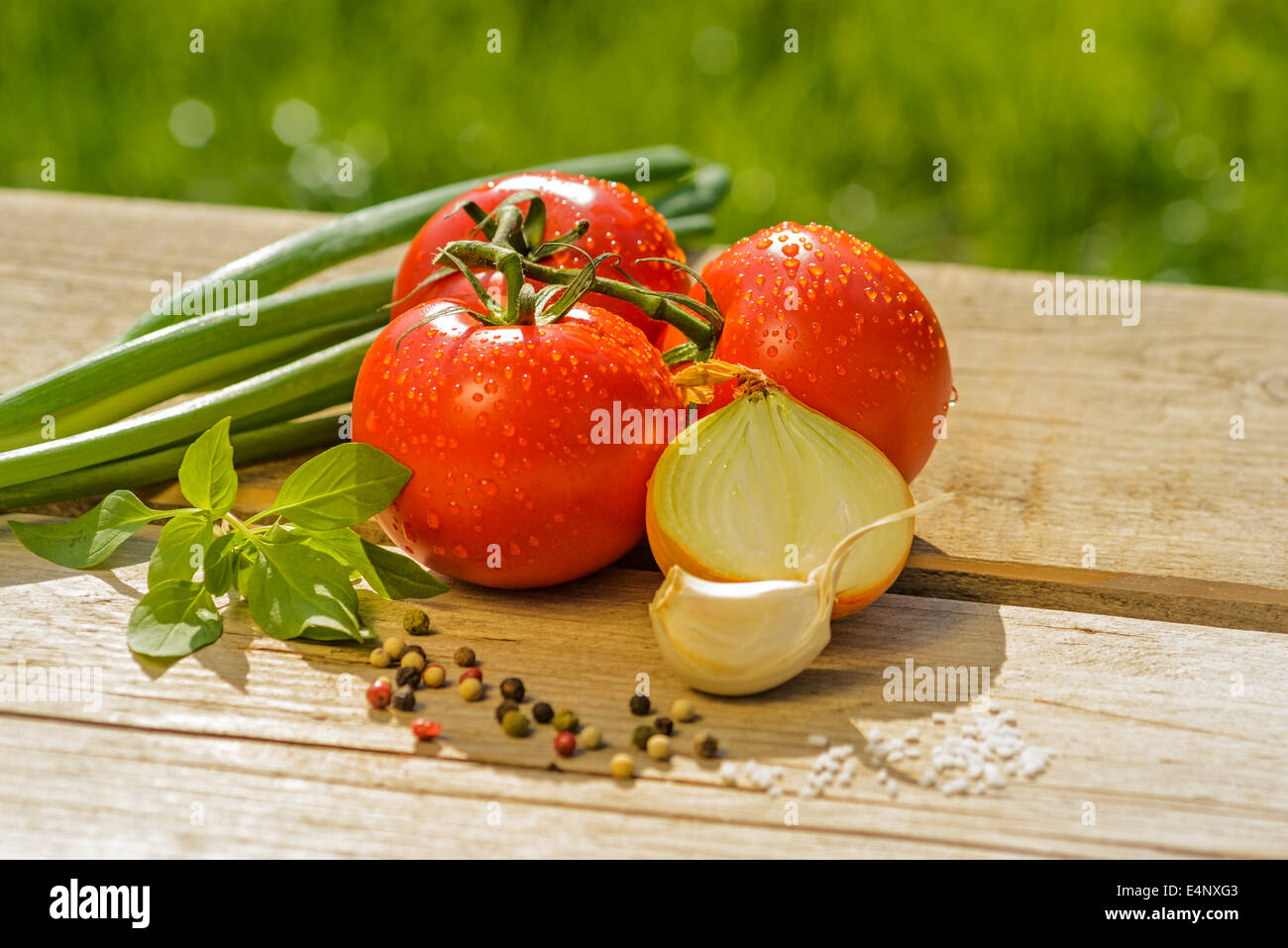 Al pomodoro e basilico cipolle con pepe e sale su un tavolo in legno all'esterno raccolto fresco vegetali cibo natura Foto Stock