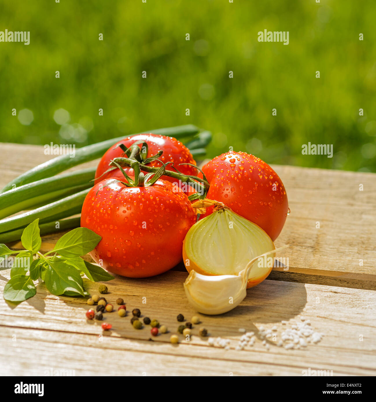 Al pomodoro e basilico cipolle con pepe e sale su un tavolo in legno all'esterno raccolto fresco vegetali cibo natura Foto Stock