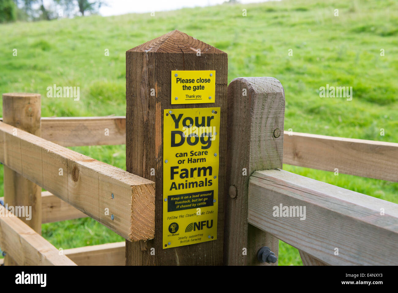 Un avviso per informare i proprietari di cani per tenerli su di un filo in modo che non spaventare gli animali della fattoria in Hopesay, Shropshire, Inghilterra. Foto Stock