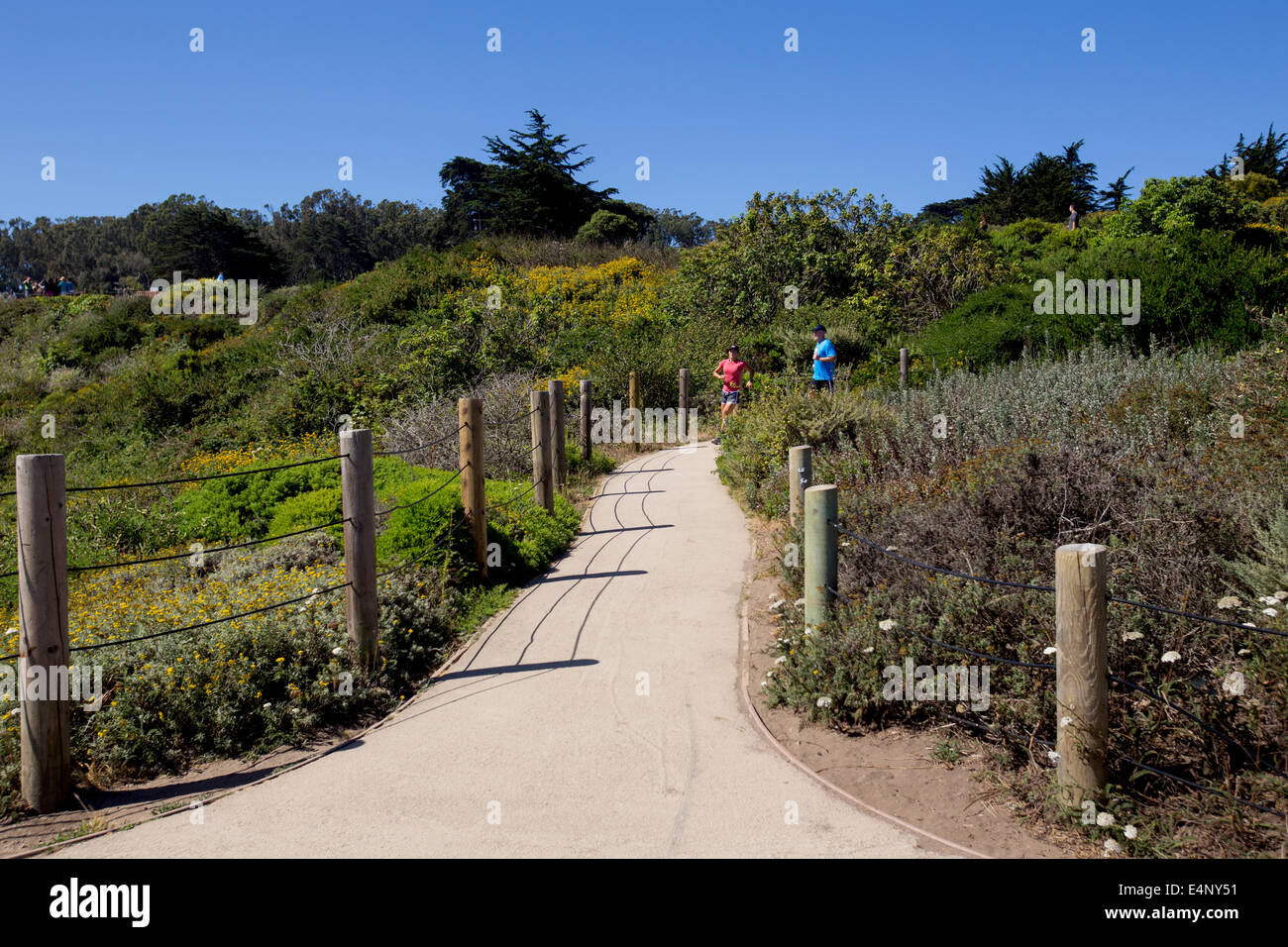 Per chi ama fare jogging, Hiking trail, Golden Gate National Recreation Area, vicino a South Tower Golden Gate Bridge di San Francisco, California Foto Stock
