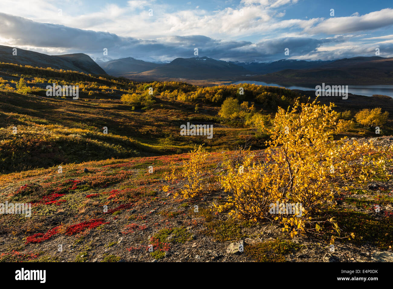 Blick auf den vedere Paittasjaervi und Berge im Kebnekaisefjaell, Norrbotten, Lappland, Schweden Foto Stock