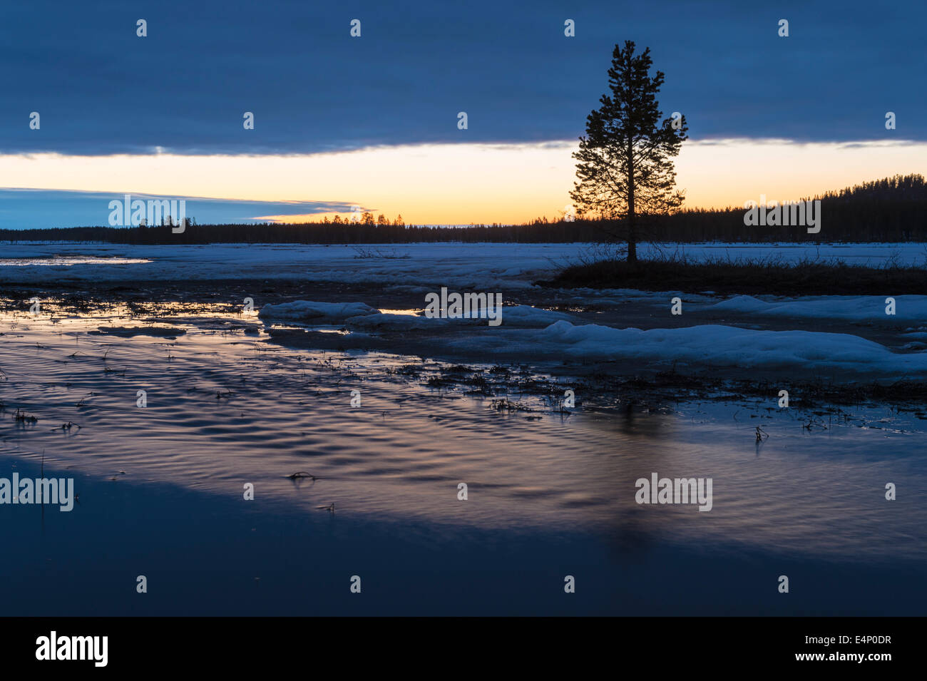 Sumpflandschaft bei Nacht, Norrbotten, Lappland, Schweden Foto Stock