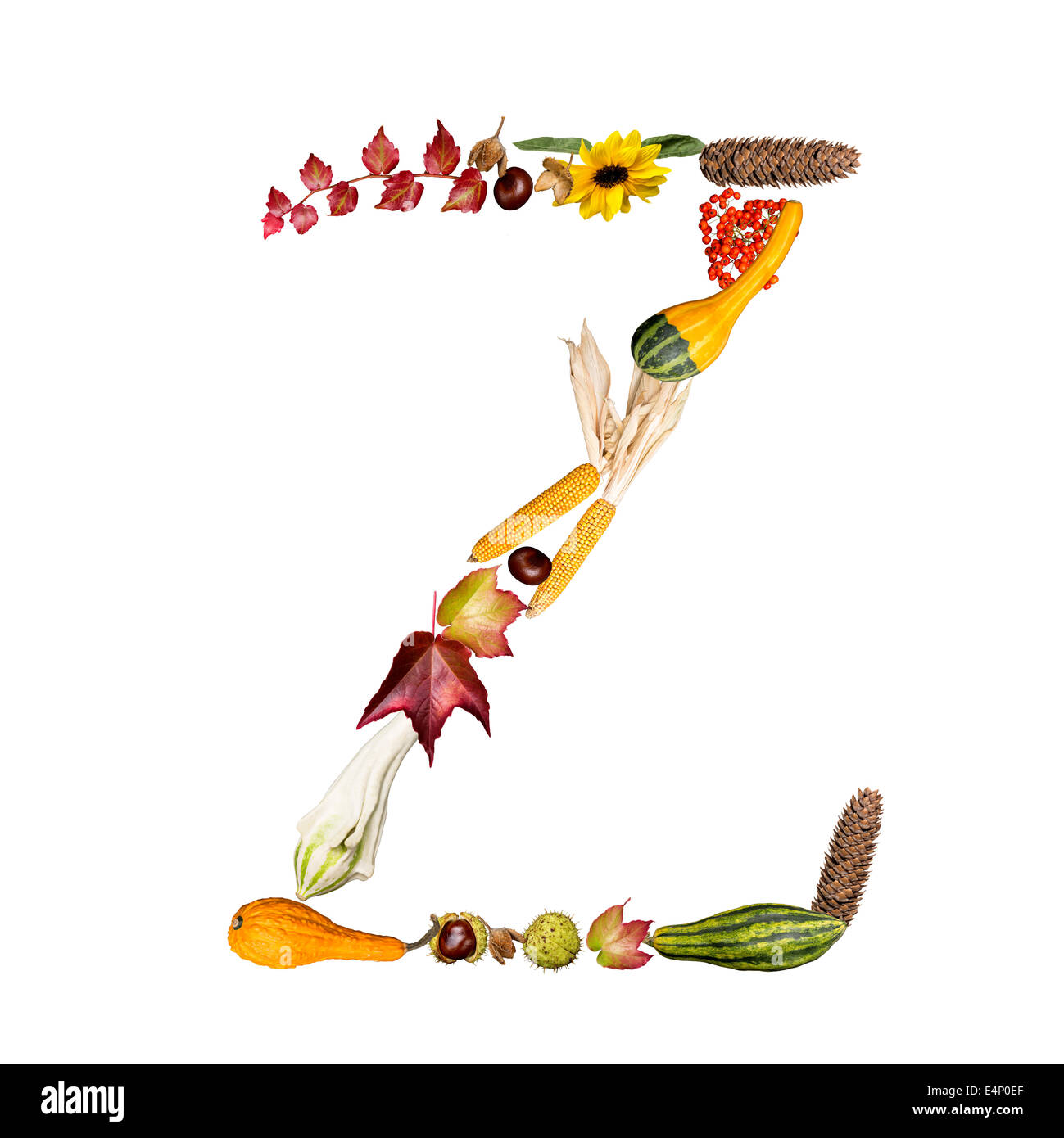 Lettera Z, Disegno Floreale Illustrazione Vettoriale - Illustrazione di