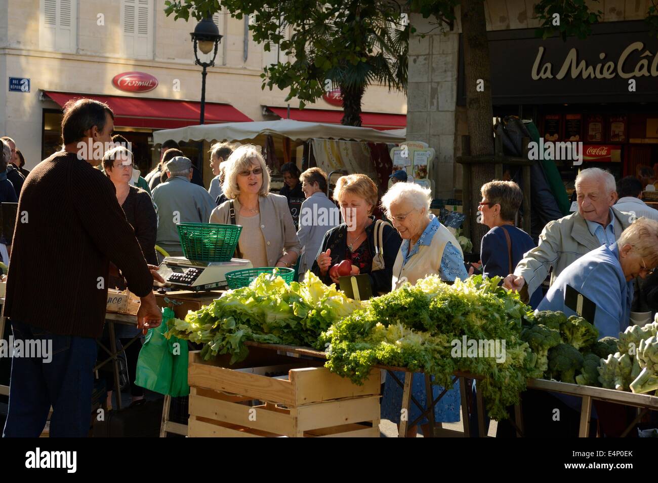 Il mercato di Rochefort. Charente-Maritime dipartimento dell'Nouvelle-Aquitaine regione della Francia. Foto Stock