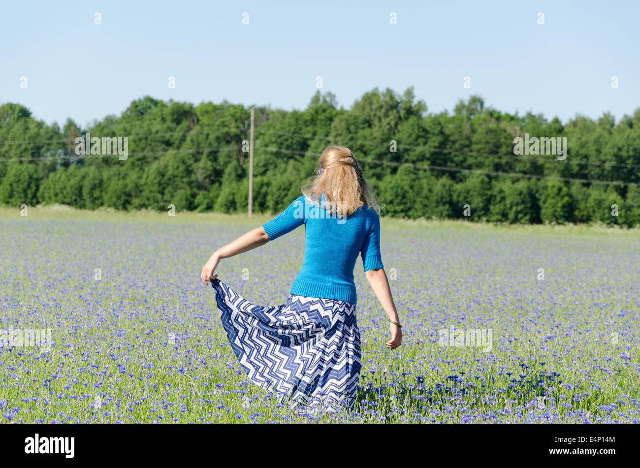 Donna con ampia gonna blu come il fiordaliso dance in prato vista posteriore Foto Stock