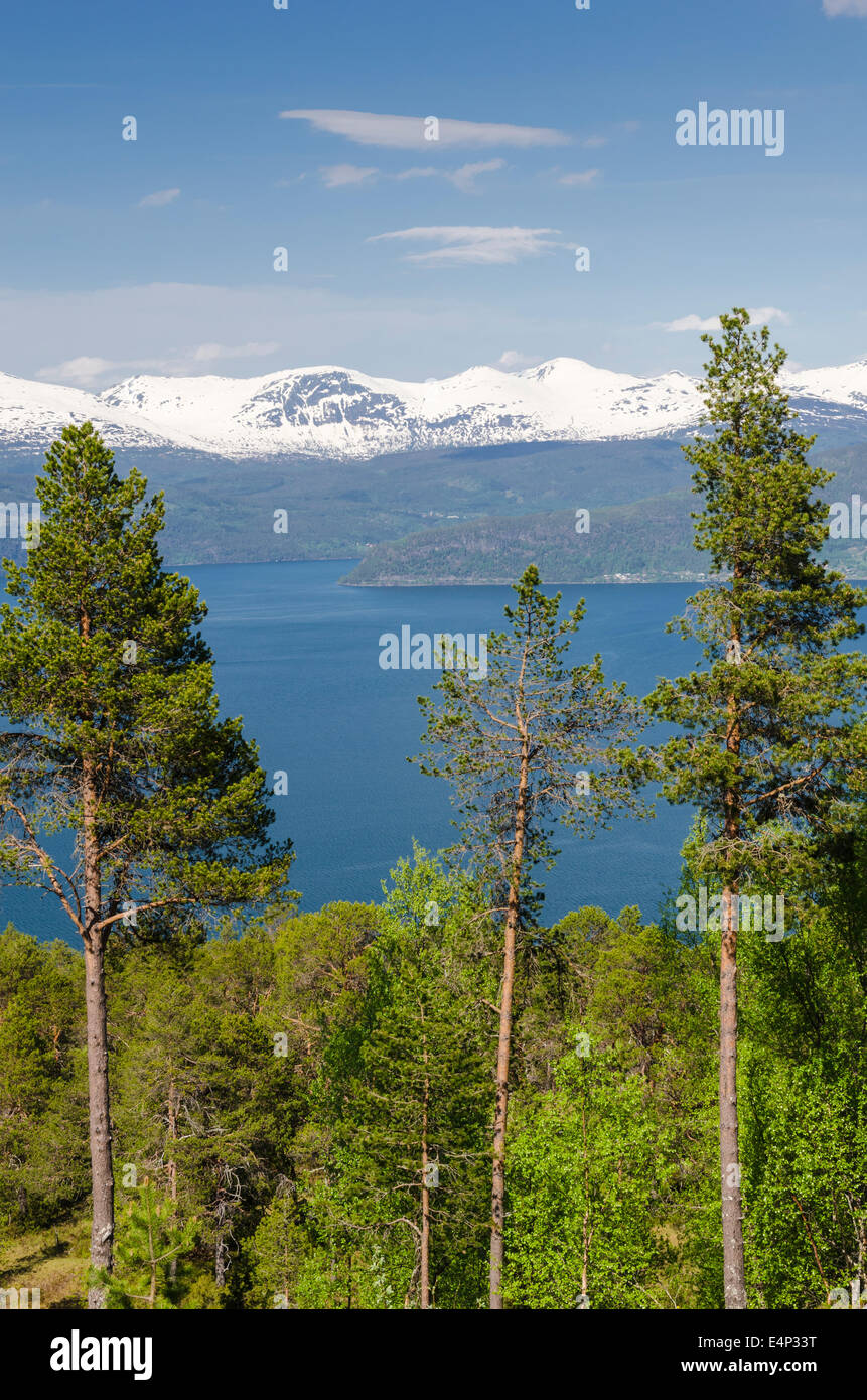 Innvikfjorden, Stryn, Sogn og Fjordane Fylke, Norwegen Foto Stock