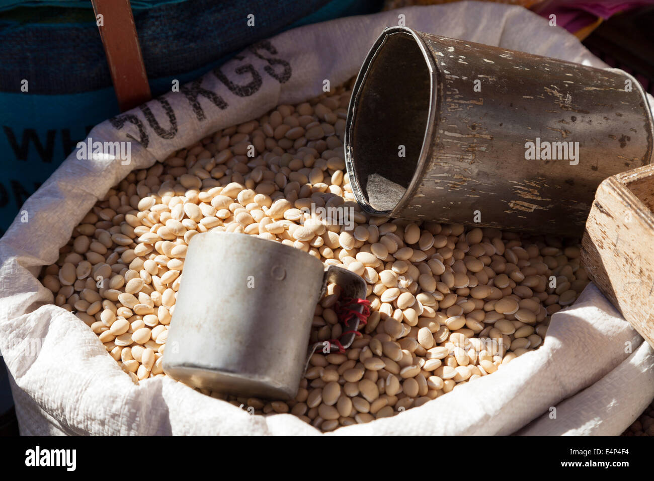 Fagioli Foto Stock