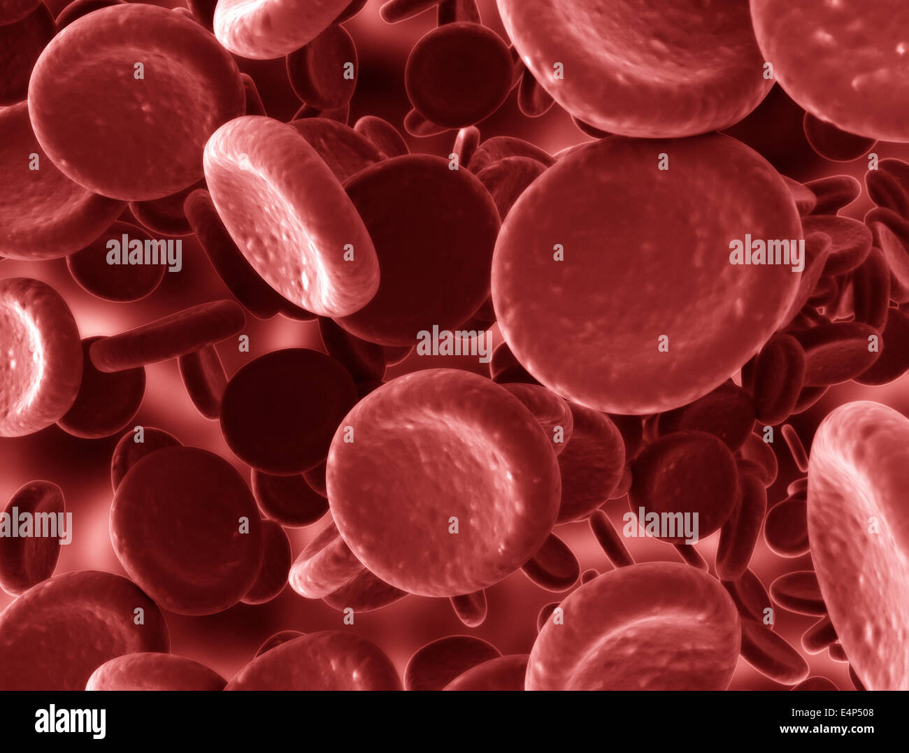 Chiudere l immagine di cellule rosse del sangue Foto Stock