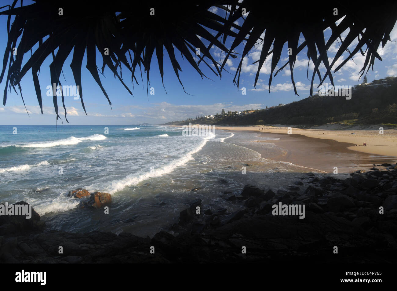 Sole Spiaggia visto attraverso le palme pandanus, vicino a Noosa Sunshine Coast, Queensland, Australia Foto Stock