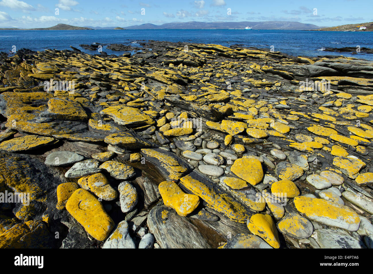 Kuestenlandschaft - Isole Falkland Foto Stock