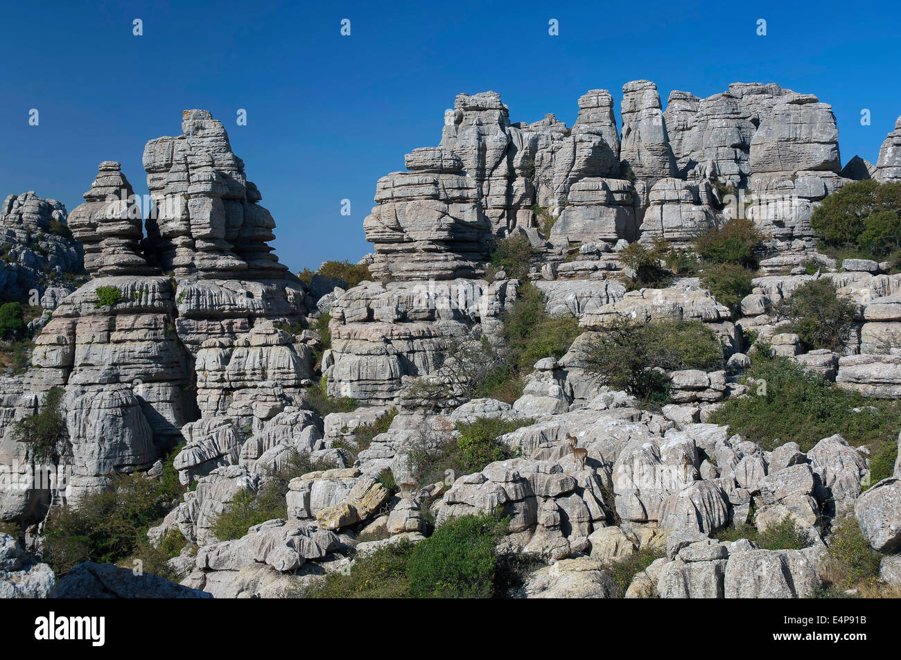 Torcal de Antequera parco naturale, Antequera, Malaga-provincia, regione dell'Andalusia, Spagna, Europa Foto Stock