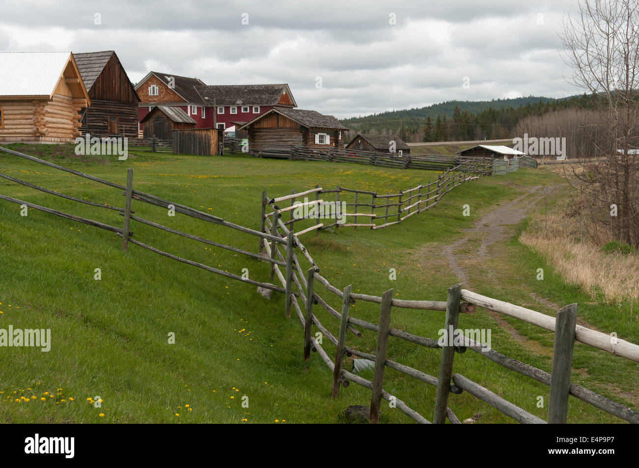 Elk203-3127 Canada, British Columbia, 108 Mile Ranch Sito Patrimonio dell'umanità. Foto Stock