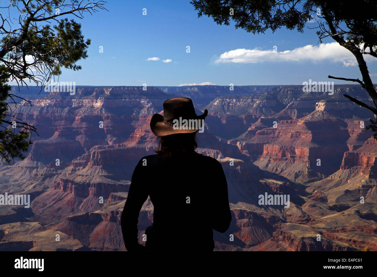 La donna la visualizzazione di Grand Canyon dal South Rim Trail, il Parco Nazionale del Grand Canyon, Arizona, Stati Uniti d'America Foto Stock