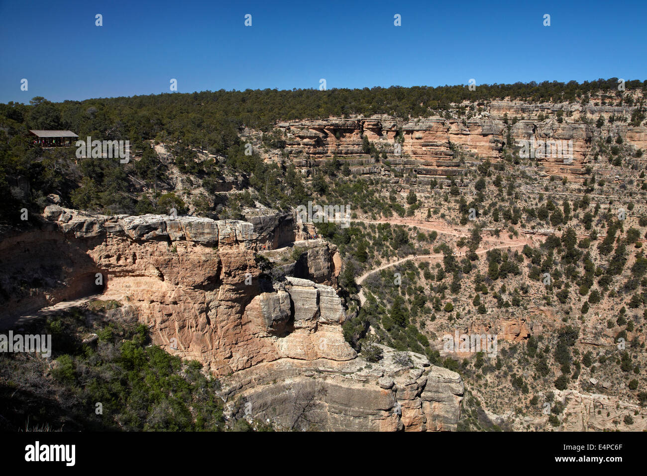 Il Bright Angel Trail, South Rim, il Grand Canyon, il Parco Nazionale del Grand Canyon, Arizona, Stati Uniti d'America Foto Stock
