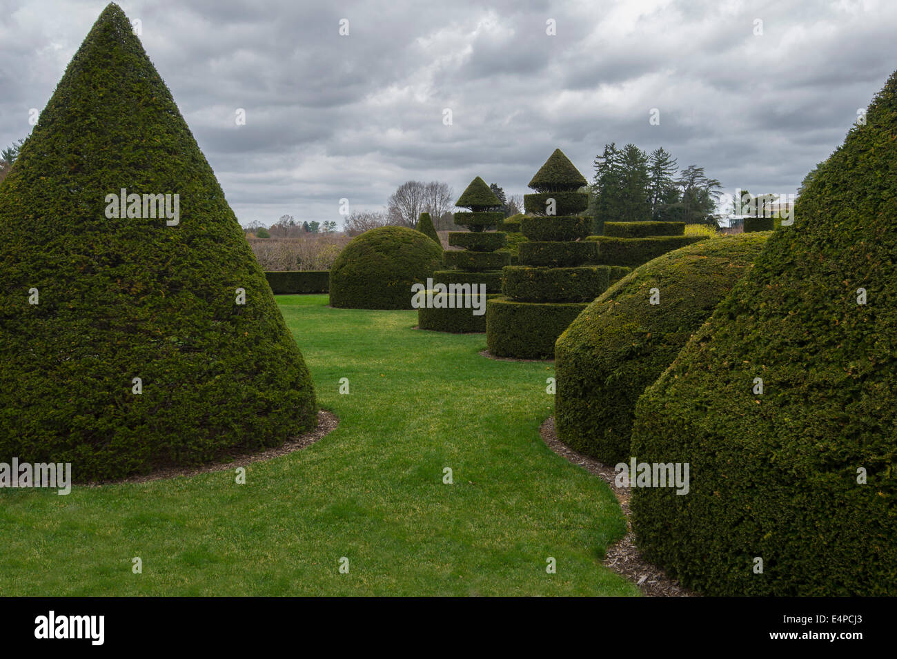 Topiaria da giardino a Longwood Gardens. Kennett Square, Pennsylvania, STATI UNITI D'AMERICA Foto Stock