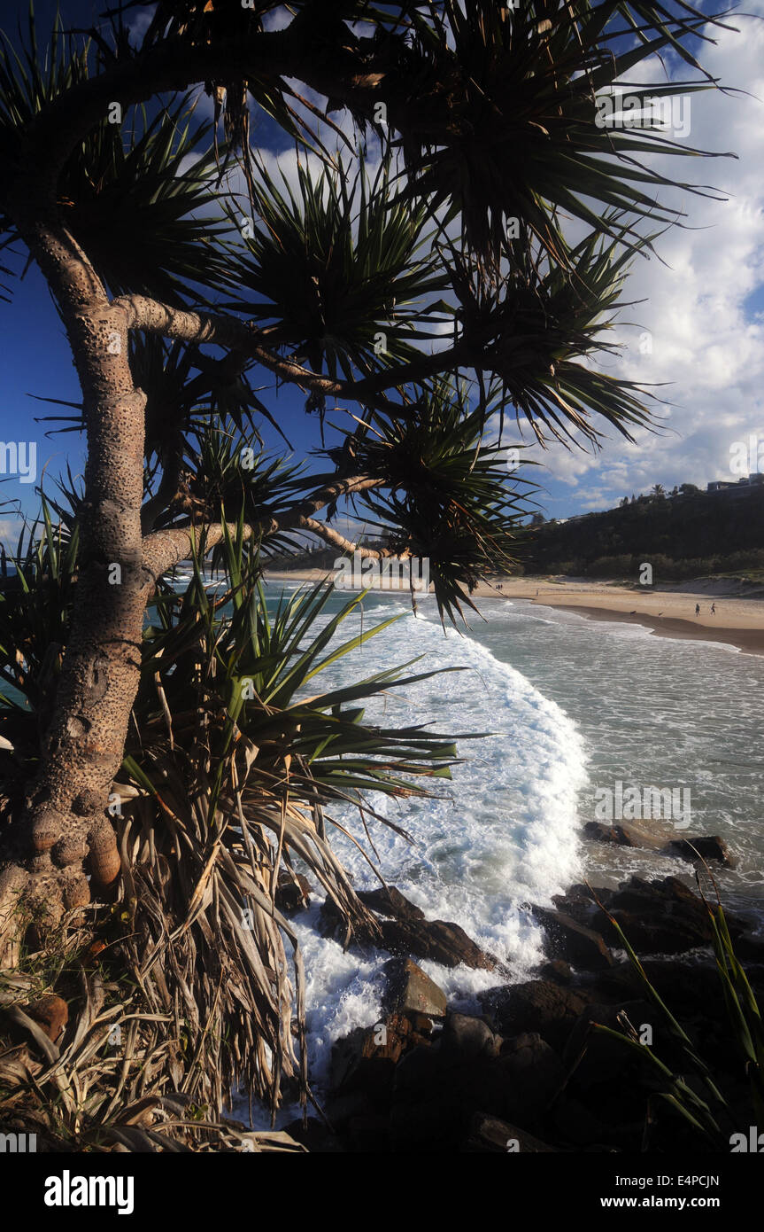 Sole Spiaggia, Vicino a Noosa Sunshine Coast, Queensland, Australia Foto Stock