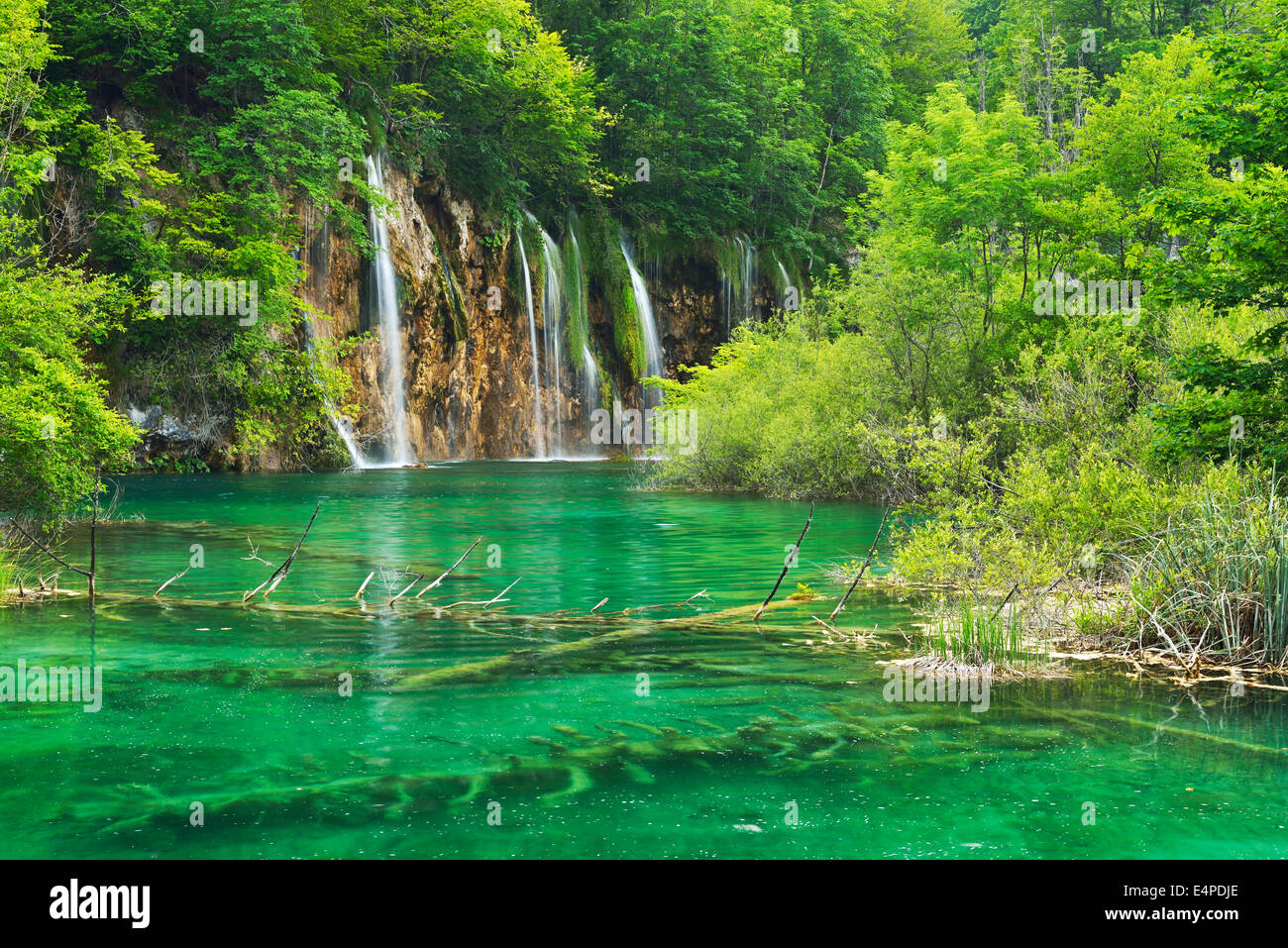 Cascata, Parco Nazionale dei Laghi di Plitvice, Jezera, Lika-Senj Affitto, Croazia Foto Stock