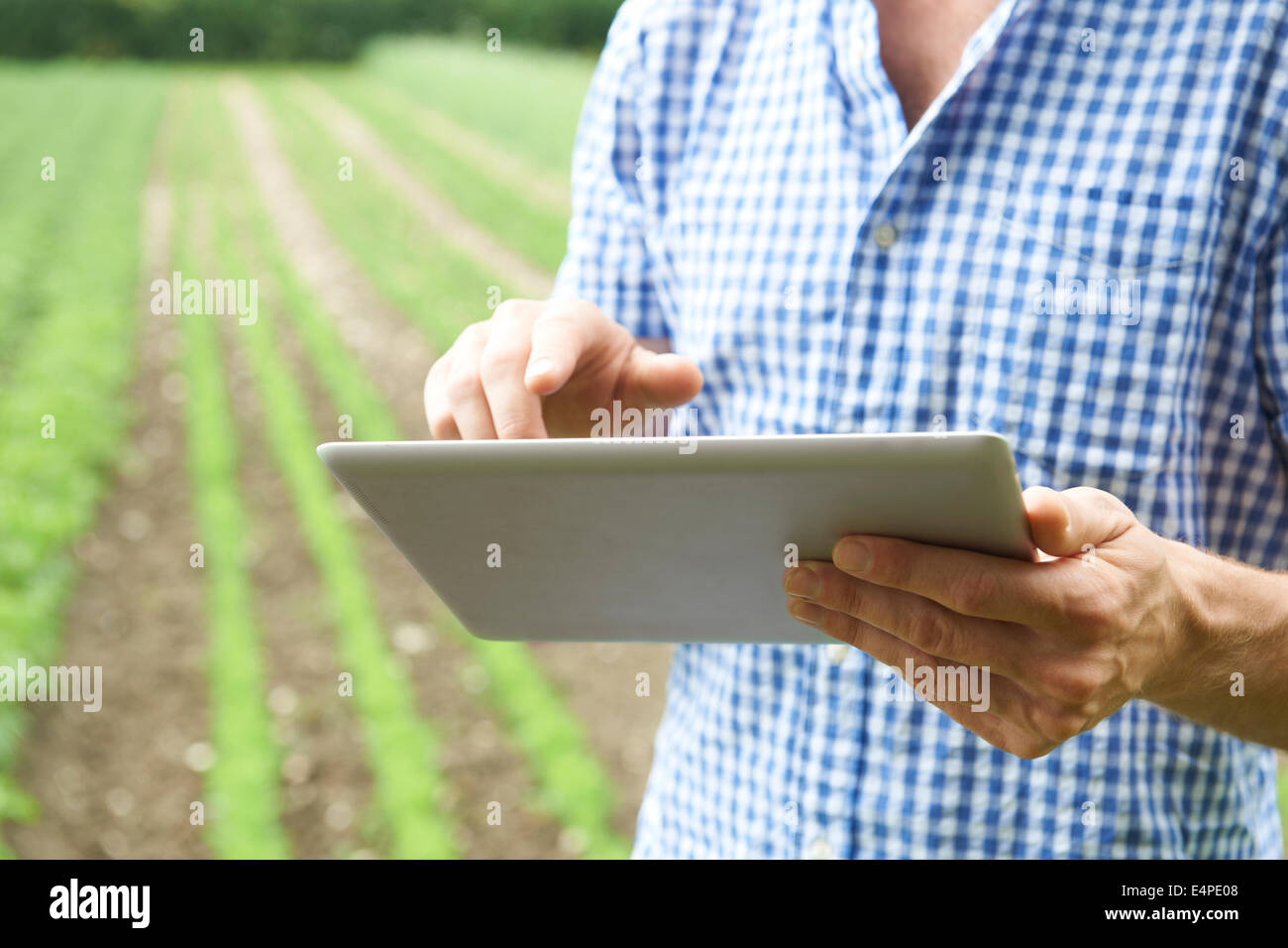 Close Up di agricoltore con tavoletta digitale sulla fattoria biologica Foto Stock