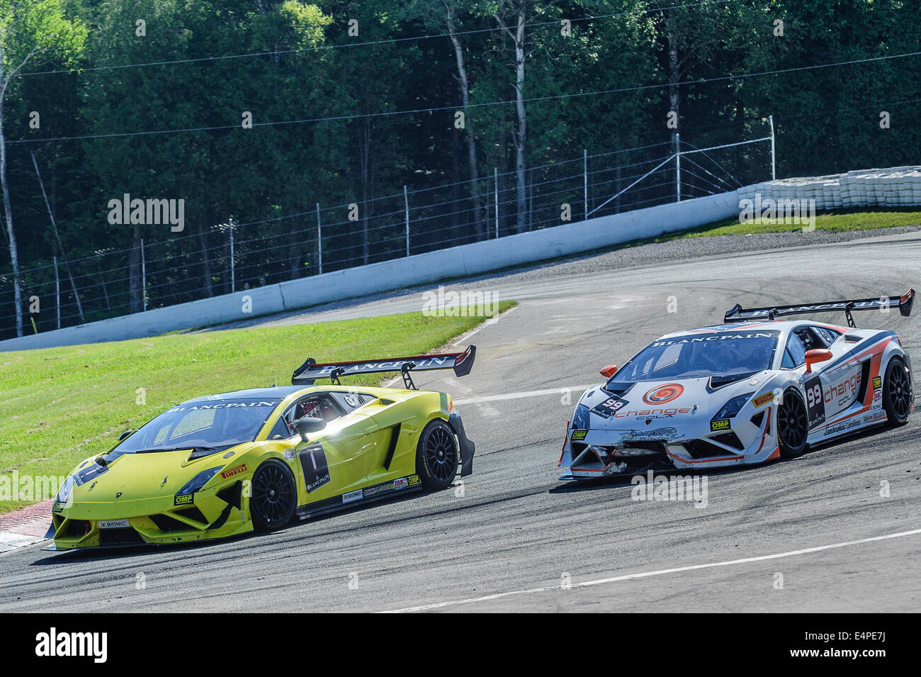 Toronto, può., 12 lug 2014 - La Mobil 1 SportsCar Grand Prix è in corso al Canadian Tire Motorsport Park in Bowmanville, a est di Toronto. Foto Stock