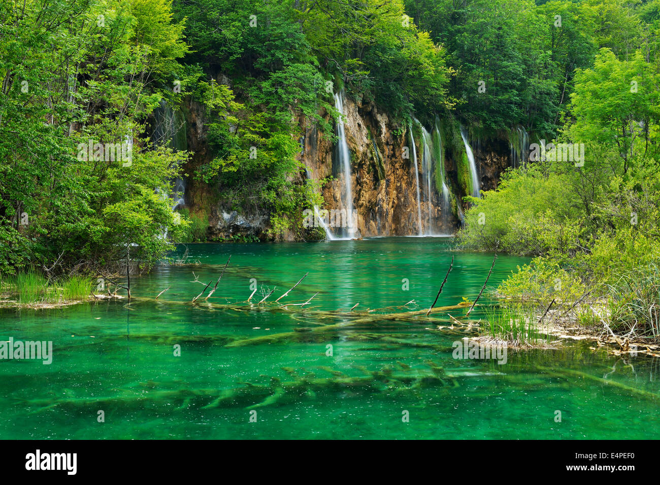 Cascata, Parco Nazionale dei Laghi di Plitvice, Jezera, Lika-Senj Affitto, Croazia Foto Stock