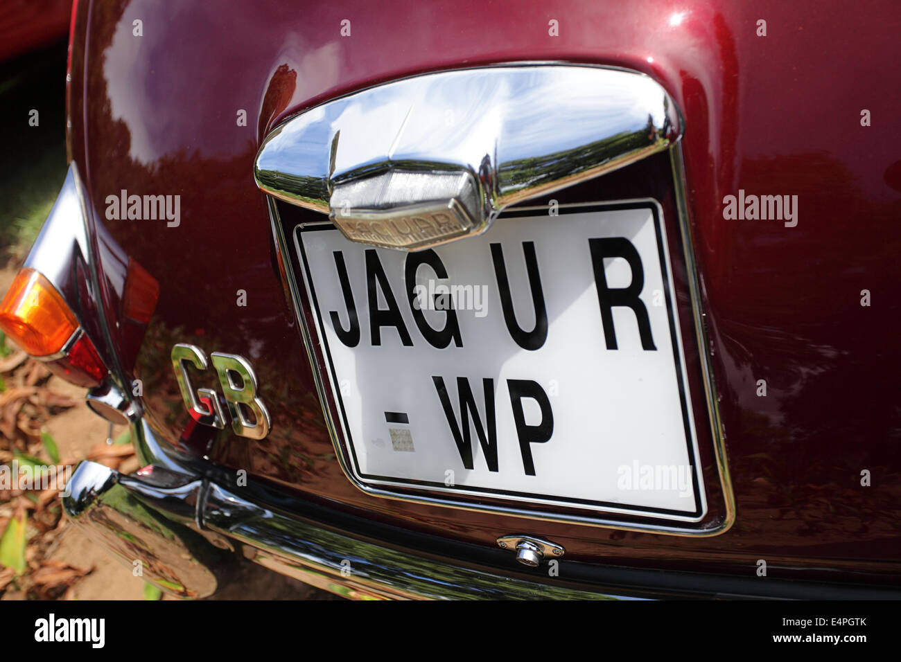 Vintage Jaguar boot / Dettaglio trunk e JAG U R numero di targa Foto Stock