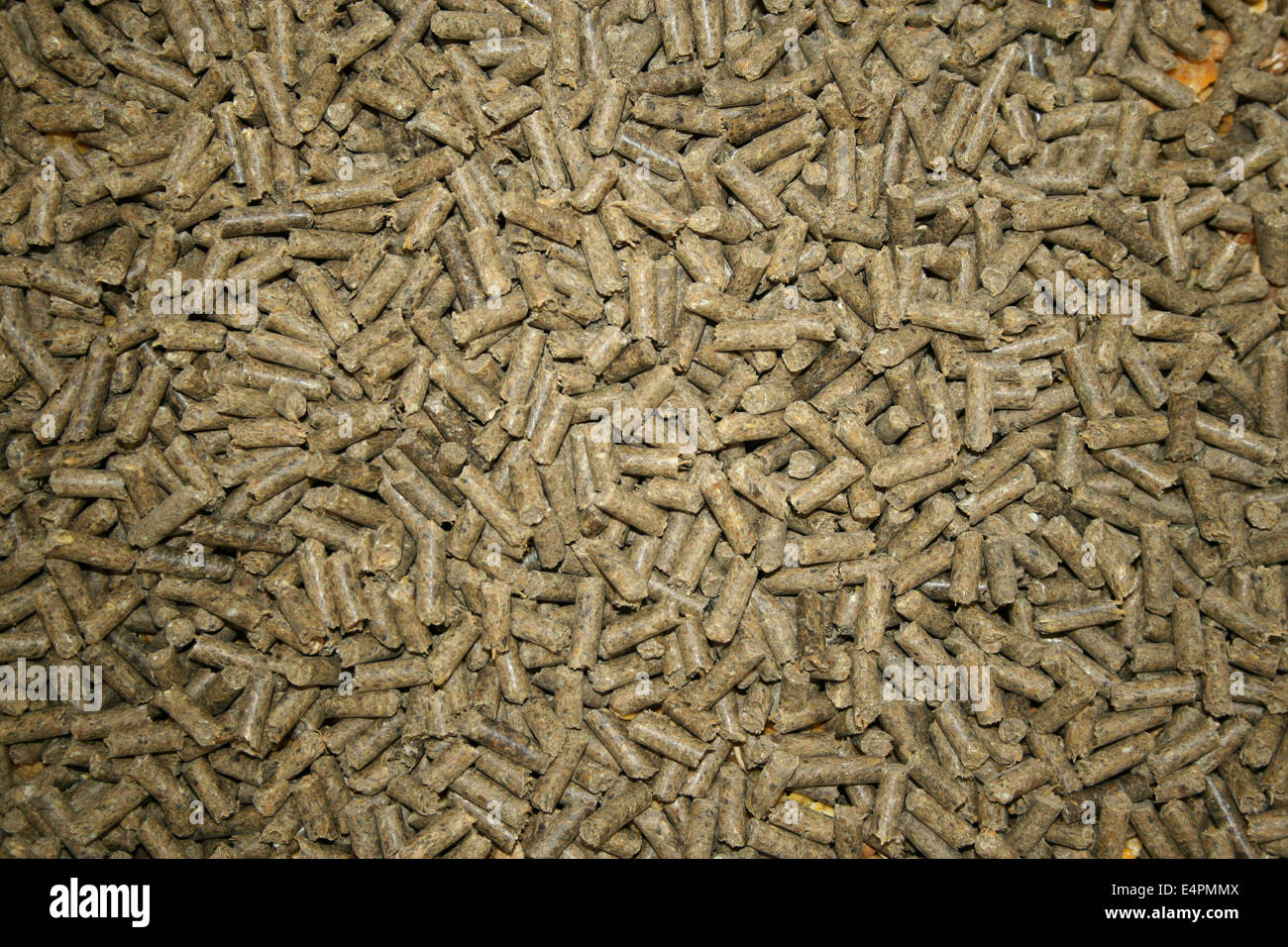 Kraftfutter agglomerati in forma di pellets Foto Stock