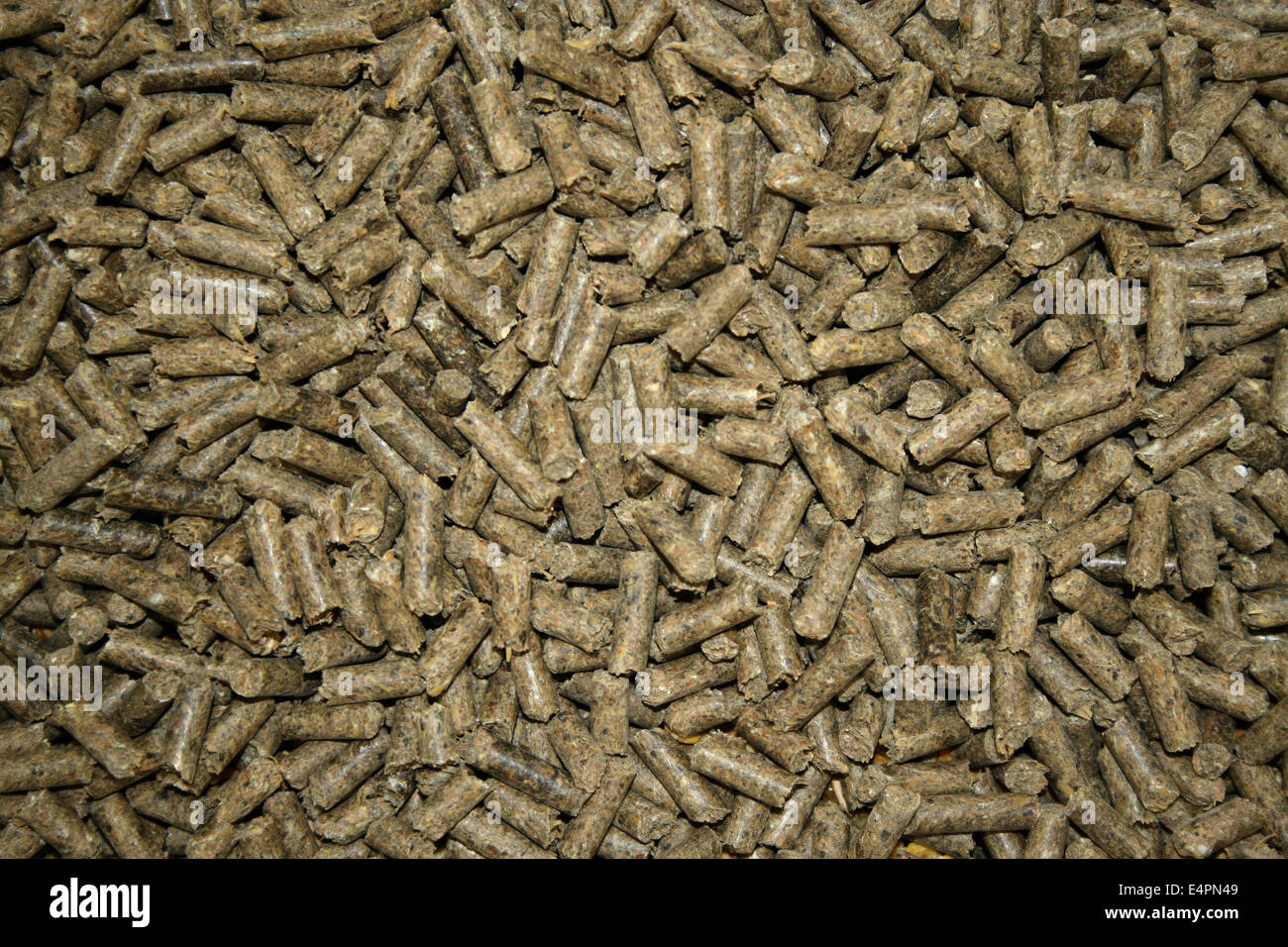 Pellet Foto Stock