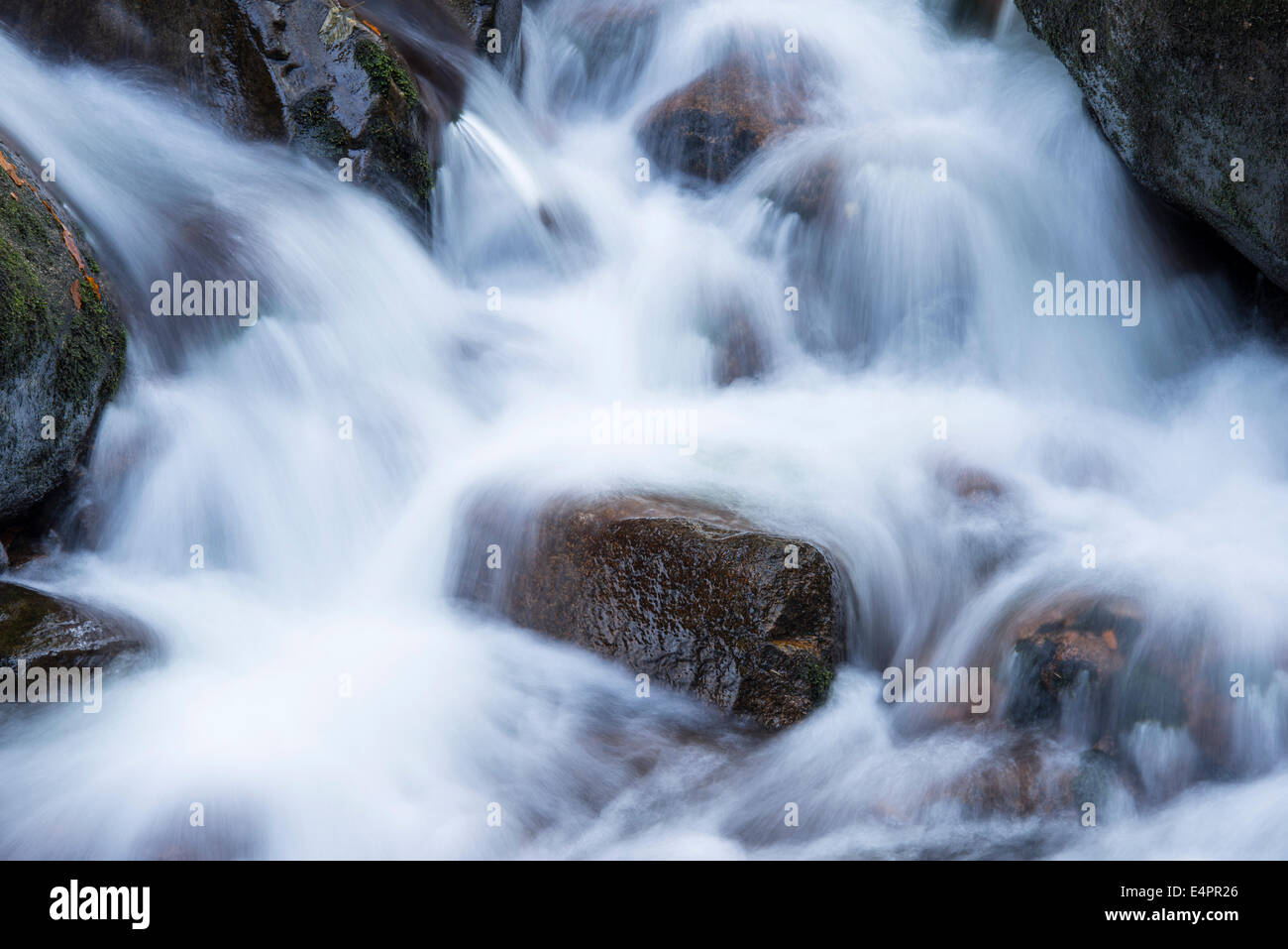 Ilse valley, distretto di Harz, Harz, SASSONIA-ANHALT, Germania Foto Stock