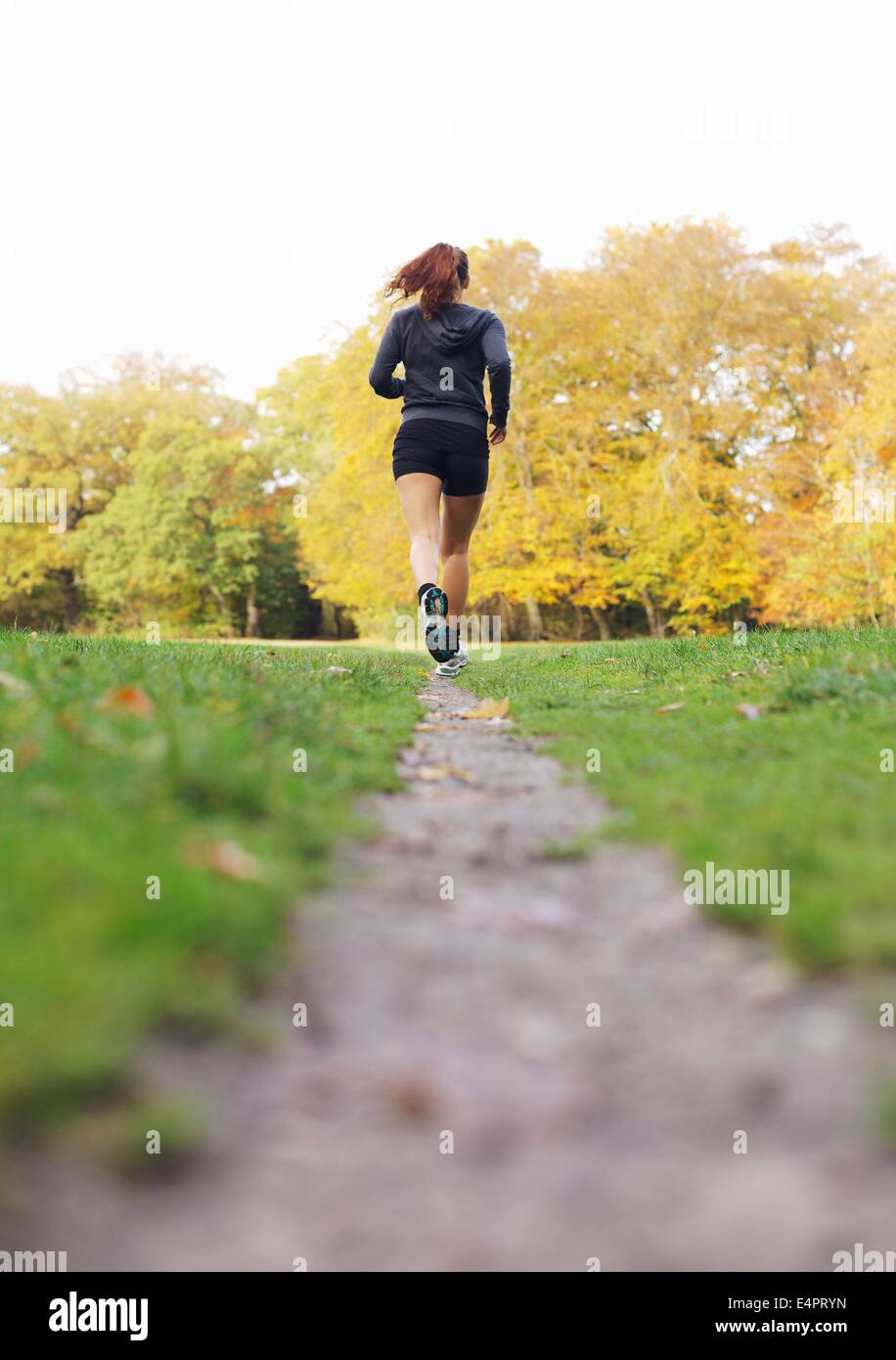 Vista posteriore immagine della giovane donna jogging in un parco in un giorno d'estate. Montare e sano atleta femminile esercizio in esecuzione nel parco. Foto Stock