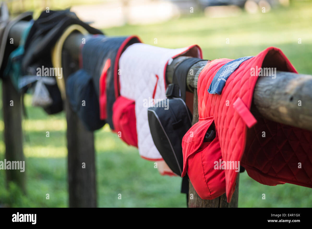 Trekking Sottocuscino in su una recinzione Foto Stock
