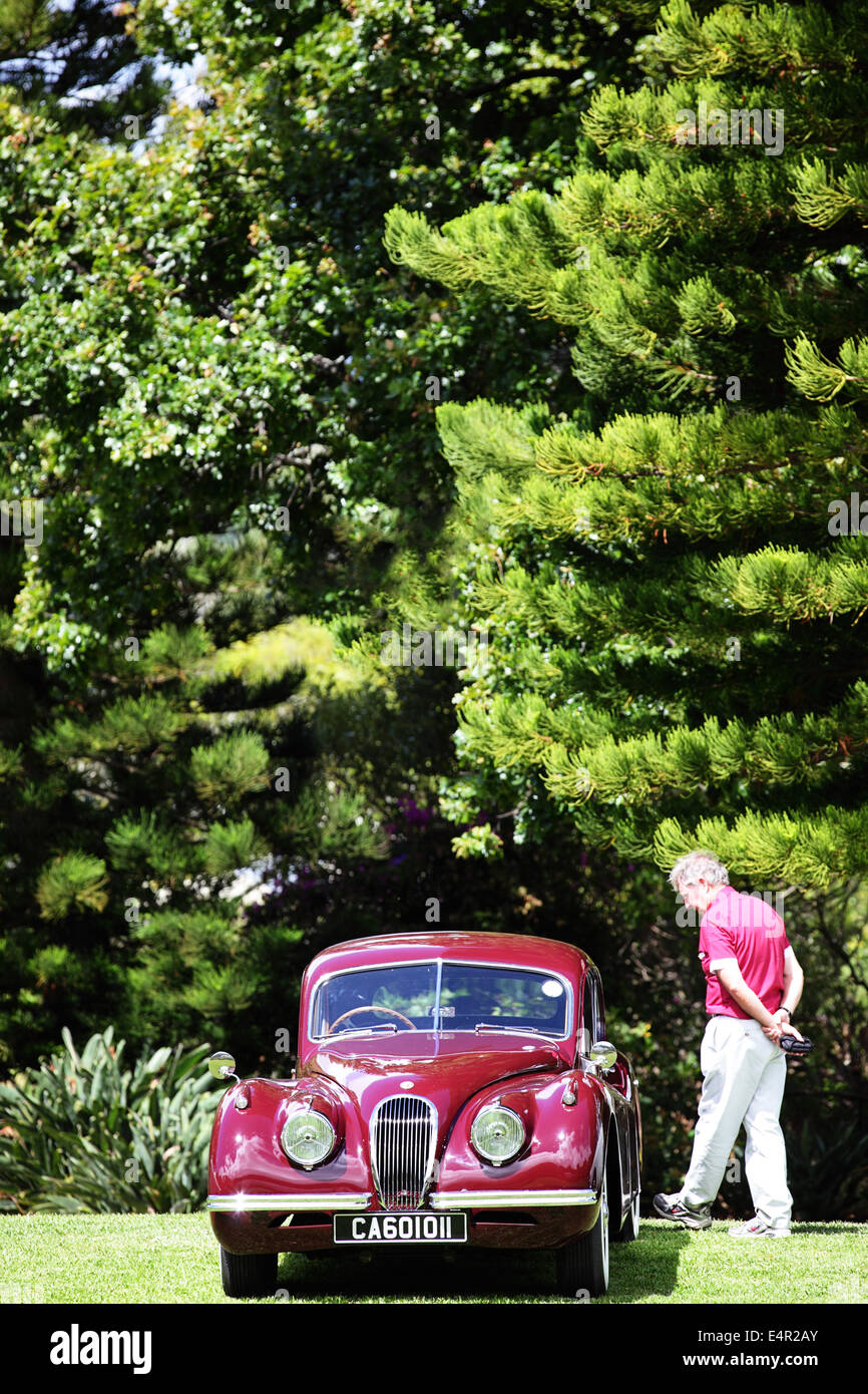 L'uomo ammirando un vintage Jaguar Foto Stock