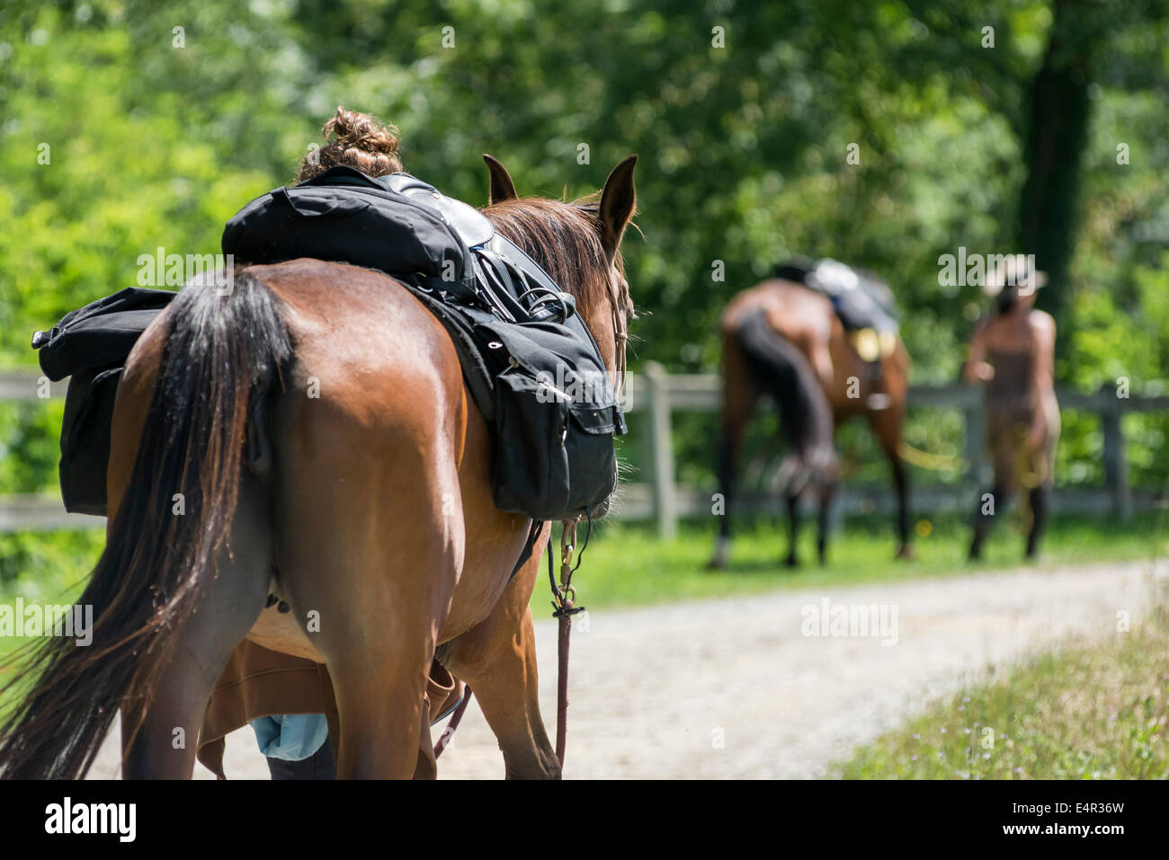 Le donne pronti per l'equitazione Foto Stock