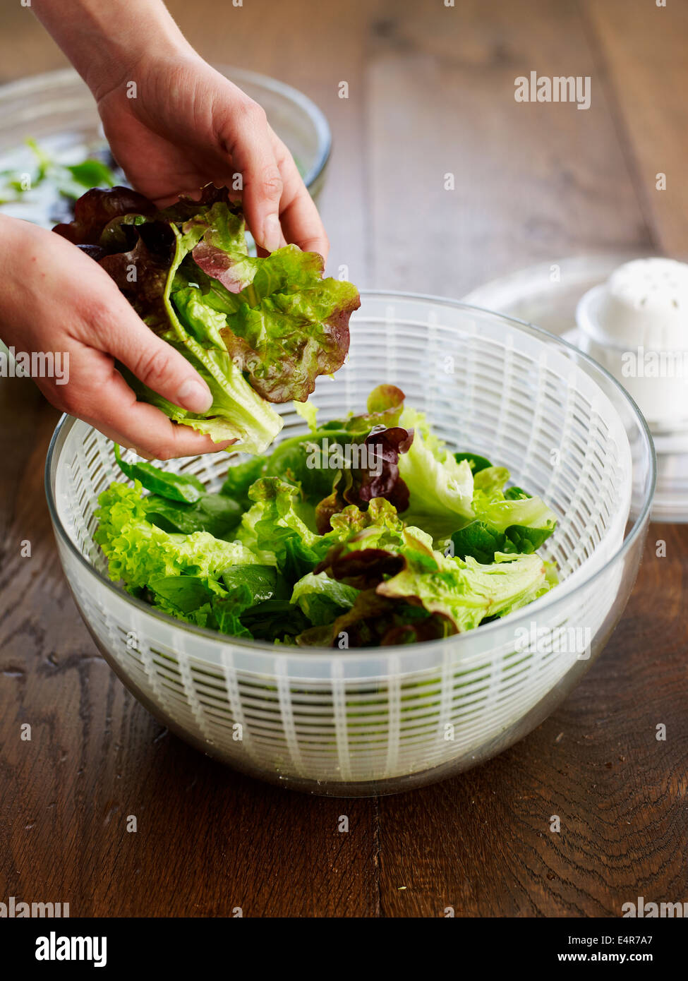 Immissione foglie di insalata in insalata spinner Foto Stock Immissione foglie di insalata in insalata spinner Foto Stock