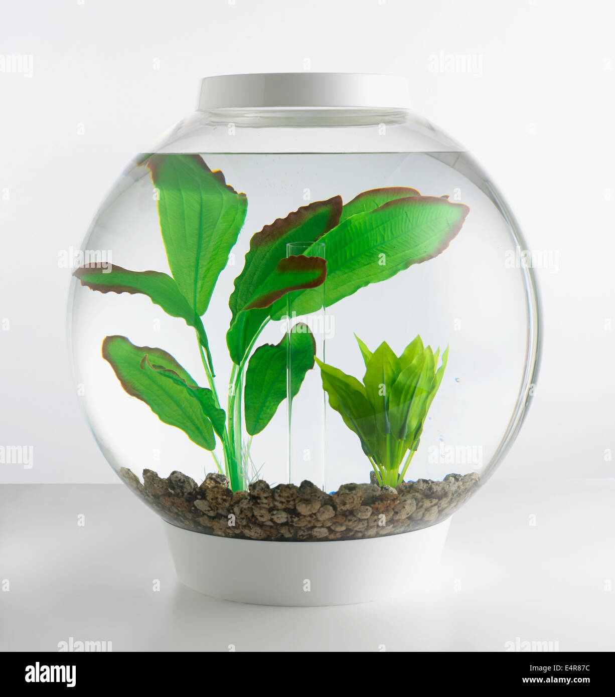 Goldfish Bowl contenenti piante artificiali Foto Stock