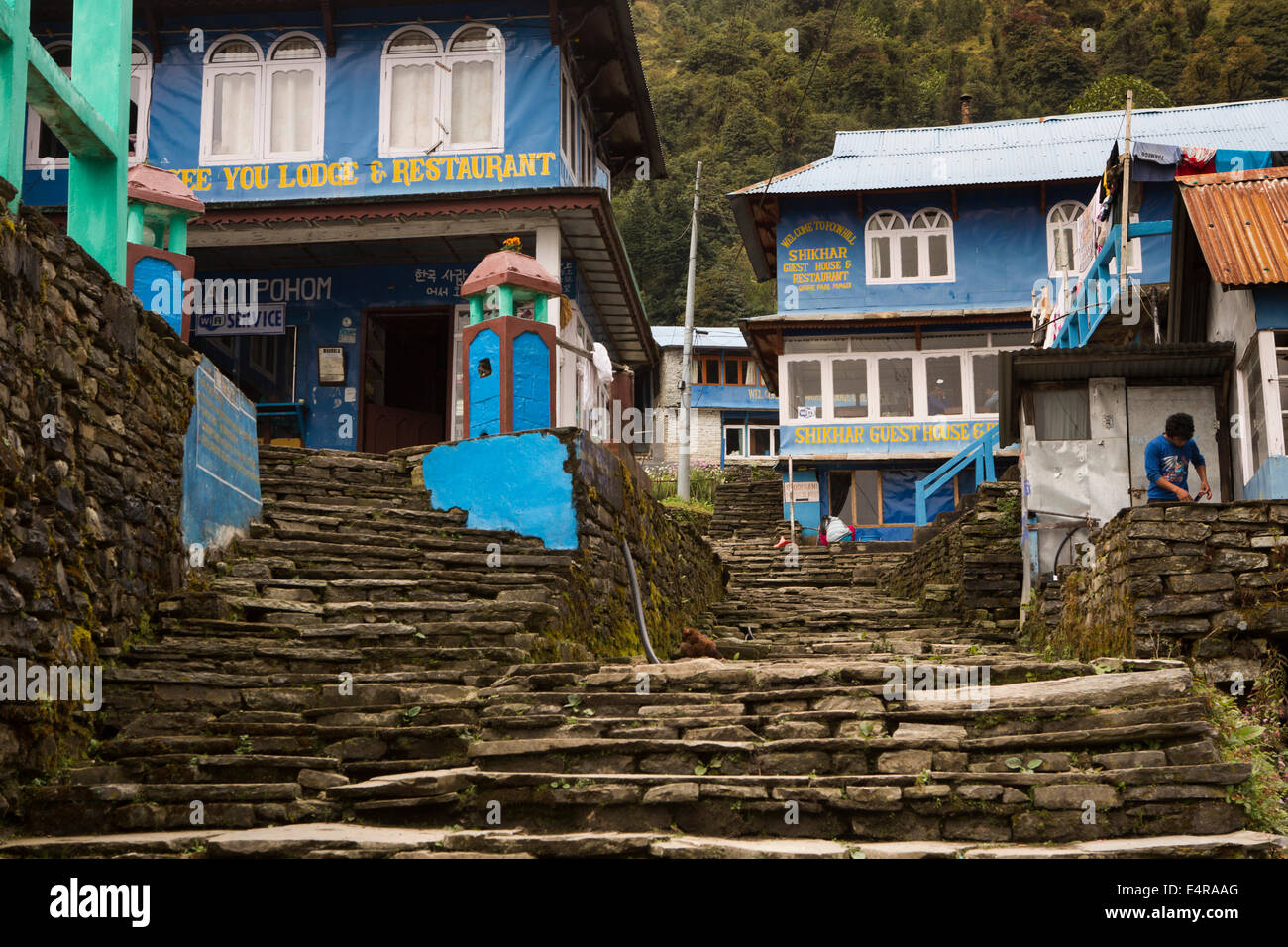 Il Nepal, Pokhara, Ghorepani, pietra passi attraverso il villaggio passato pensioni Foto Stock