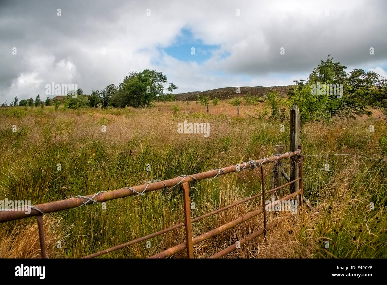 Rusty fattoria con filo spinato che conduce nel campo erboso Foto Stock